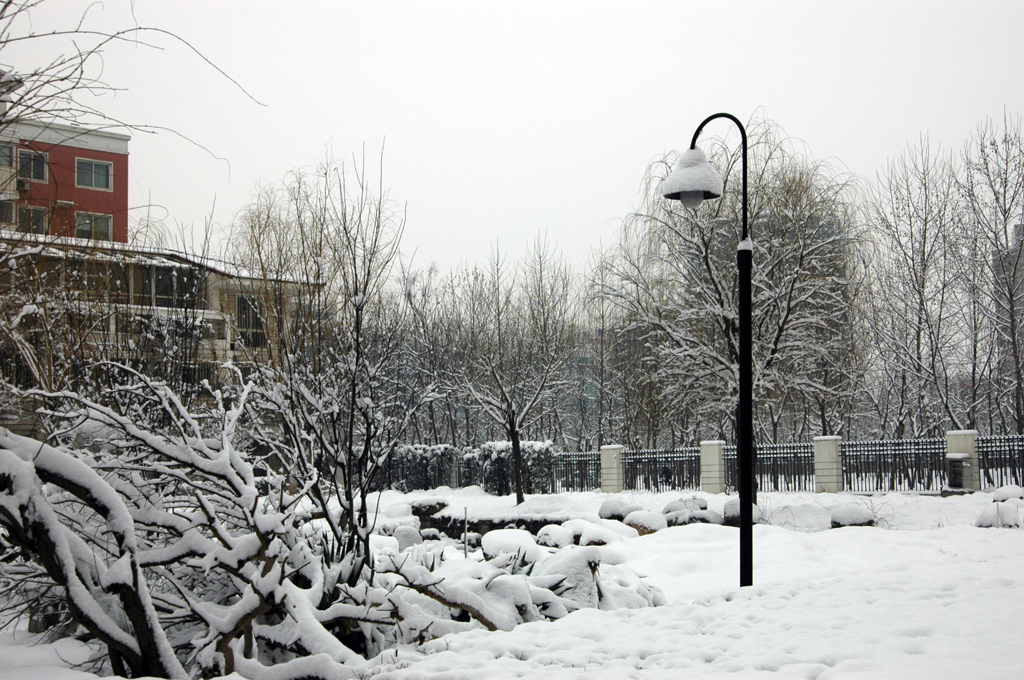 雪景2.jpg